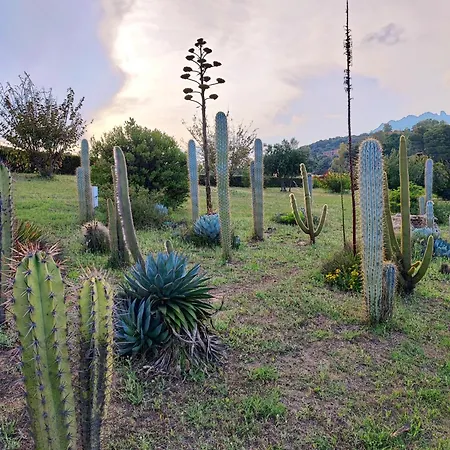 Abba Sixty - View, Pool & Parking - 200mt Sea